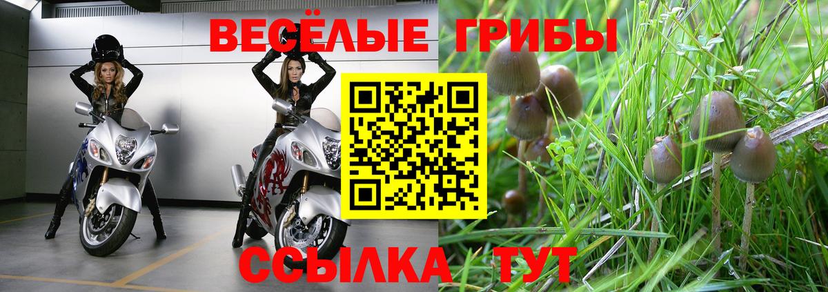 Псилоцибиновые грибы GOLDEN TEACHER  Вход с VPN  как найти наркотики  Псилоцибиновые грибы MAGIC MUSHROOMS  Назрань 